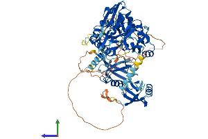 AlphaFold protein structure predicition of Mouse Recombinant Dlg4 Protein, UniprotID Q62108