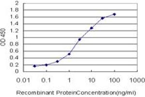 Detection limit for recombinant GST tagged JAG2 is approximately 0. (JAG2 Antikörper  (AA 121-210))