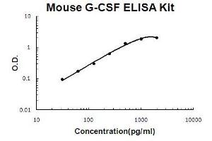 Mouse G-CSF PicoKine ELISA Kit standard curve