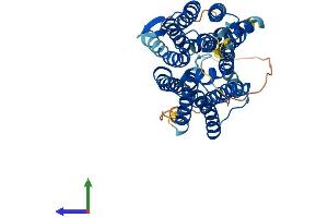 Protein Structure (PS) image for G Protein-Coupled Receptor 172B (GPR172B) (AA 1-448) protein (His tag) (ABIN7551655)