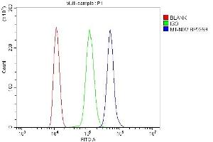 Flow Cytometry analysis of ANA-1 cells using anti-Mtnd2 antibody (ABIN7603114). (MT-ND2 Antikörper  (N-Term))