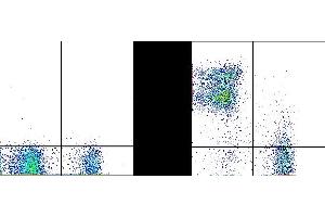 C57Bl/6 splenocytes were stained with 0. (CD24 Antikörper  (PerCP-Cy5.5))