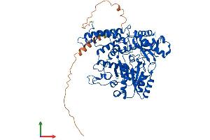 AlphaFold protein structure predicition of Mouse Recombinant Gad1 Protein, UniprotID P48318