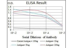 Black line: Control Antigen (100 ng), Purple line: Antigen(10 ng), Blue line: Antigen (50 ng), Red line: Antigen (100 ng), (ITGB1 Antikörper)