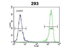 Flow Cytometric analysis of 293 cells using DIT3 Antibody (C-term) Cat. (DDIT3 Antikörper  (C-Term))