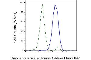 Validation of Diaphanous related formin 1 knockdown using flow cytometry. (Rekombinanter DIAPH1 Antikörper)