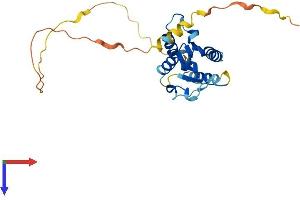 TIRAP Protein (AA 1-241) (His tag)