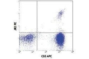 Flow Cytometry (FACS) image for anti-Vbeta 8 TCR antibody (PE) (ABIN2663919) (Vbeta 8 TCR Antikörper (PE))
