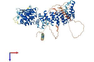 SCYL1 Protein (AA 1-806) (His tag)