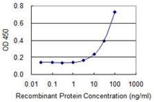 Detection limit for recombinant GST tagged MYLPF is 1 ng/ml as a capture antibody. (MYLPF Antikörper  (AA 1-169))