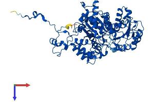 ME1 Protein (AA 1-572) (His tag)