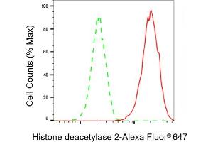Flow cytometric analysis of Histone deacetylase 2 expression in HAP-1 cells using Histone deacetylase 2 antibody (ABIN7798931), 1:2,000).