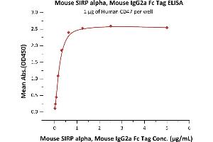 Immobilized Human CD47 at 10 μg/mL (100 μL/well) can bind Mouse SIRP alpha, Mouse IgG2a Fc Tag (ABIN5955018,ABIN6253632) with a linear range of 0.