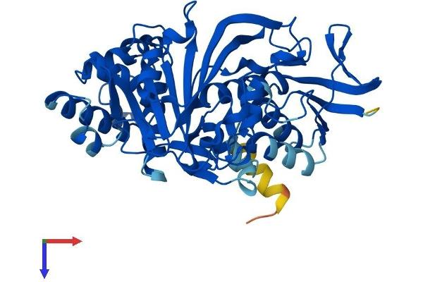 GDI2 Protein (AA 1-445) (His tag)