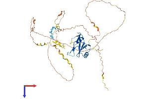 AlphaFold protein structure predicition of Human Recombinant CLNK Protein, UniprotID Q7Z7G1 (CLNK Protein (AA 1-428) (His tag))