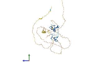 Protein Structure (PS) image for GATA Binding Protein 1 (Globin Transcription Factor 1) (GATA1) (AA 1-413) protein (His tag) (ABIN7562917)