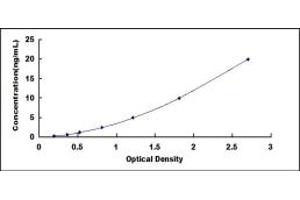 Typical standard curve (KMO ELISA Kit)