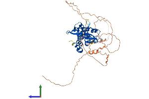 Protein Structure (PS) image for Melanoma Antigen Family A, 11 (MAGEA11) (AA 1-429) protein (His tag) (ABIN7549225)