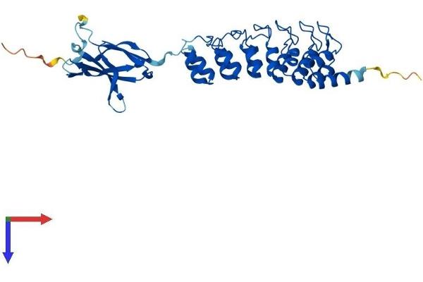 FANK1 Protein (AA 1-345) (His tag)