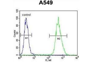 Flow cytometric analysis of A549 cells using BNIP3L / BNIP3A Antibody (Center) Cat. (BNIP3L/NIX Antikörper  (Middle Region))
