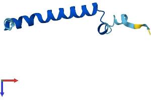 UQCR11 Protein (AA 1-56) (Fc Tag)