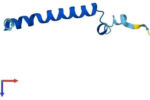 UQCR11 Protein (AA 1-56) (Fc Tag)