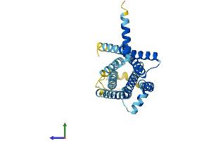 Protein Structure (PS) image for Taste Receptor, Type 2, Member 7 (TAS2R7) (AA 1-312) protein (His tag) (ABIN7556549)