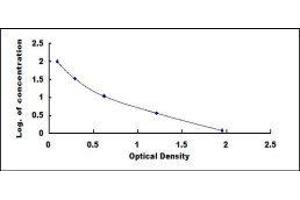 ELISA image for IgG ELISA Kit (ABIN6574090)