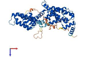 RASGEF1C Protein (AA 1-466) (His tag)