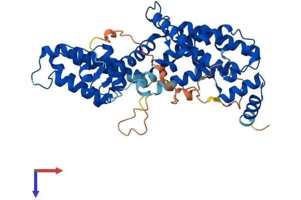 RASGEF1C Protein (AA 1-466) (His tag)