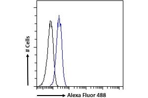 (ABIN334460) Flow cytometric analysis of paraformaldehyde fixed Jurkat cells (blue line), permeabilized with 0.