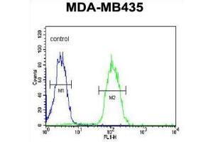 Flow Cytometry (FACS) image for anti-Dehydrogenase/reductase (SDR Family) Member 7 (DHRS7) antibody (ABIN3002129)