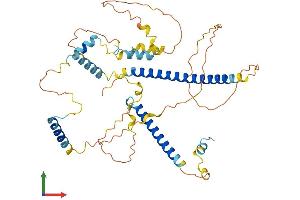 Protein Structure (PS) image for Fibrous Sheath Interacting Protein 1 (FSIP1) (AA 1-435) protein (His tag) (ABIN7560961)