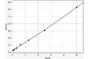 GNB1 ELISA Kit