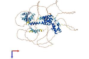 SAMD4A Protein (AA 1-711) (His tag)