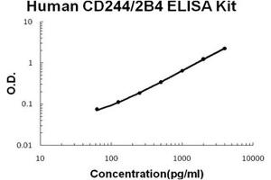 Human CD244/2B4 PicoKine ELISA Kit standard curve