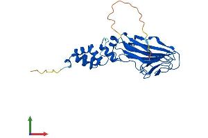 Protein Structure (PS) image for F-Box Protein 6 (FBXO6) (AA 1-293) protein (His tag) (ABIN7553875)