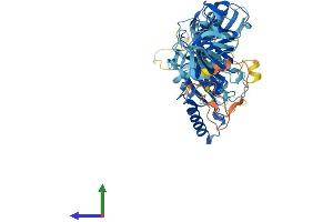 AlphaFold protein structure predicition of Mouse Recombinant Eefsec Protein, UniprotID Q9JHW4 (EEFSEC Protein (AA 1-583) (His tag))