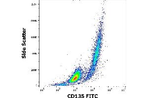 Flow cytometry surface staining pattern of REH cellular suspension stained using anti-human CD135 (BV10A4) FITC antibody (4 μL reagent per million cells in 100 μL of cell suspension). (FLT3 Antikörper  (FITC))