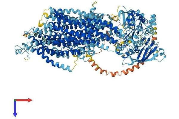 ABCC9 Protein (AA 1-1546) (His tag)