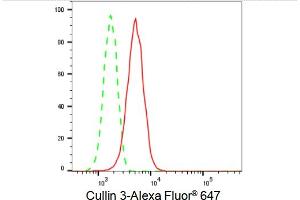 Flow cytometric analysis of Cullin 3 expression in HT- cells using Cullin 3 antibody (ABIN7798178), 1:2,000). (Rekombinanter Cullin 3 Antikörper)