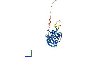 Protein Structure (PS) image for Potassium Channel Regulator (KCNRG) (AA 1-272) protein (His tag) (ABIN7548690)
