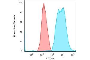 Flow Cytometric Analysis of trypsinized methanol-fixed HeLa cells using Cytokeratin 8 Mouse Monoclonal Antibody (SPM538) followed by goat anti-Mouse IgG-CF488 (Blue); Isotype Control (Red).