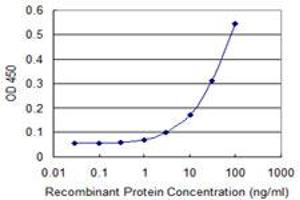 Detection limit for recombinant GST tagged TNIK is 1 ng/ml as a capture antibody. (TNIK Antikörper  (AA 1-110))