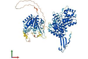 AlphaFold protein structure predicition of Mouse Recombinant Aldh18a1 Protein, UniprotID Q9Z110