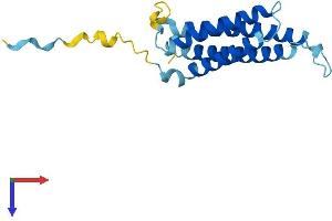 MARVELD1 Protein (AA 1-173) (His tag)