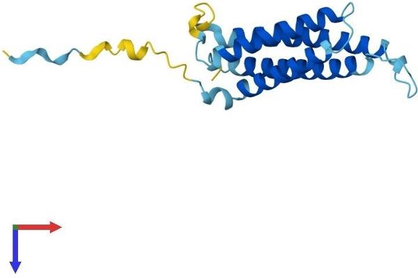 MARVELD1 Protein (AA 1-173) (His tag)