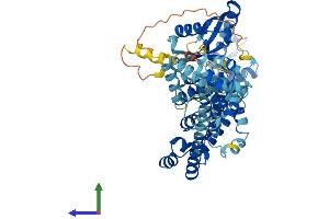 NUB1 Protein (AA 1-614) (His tag)