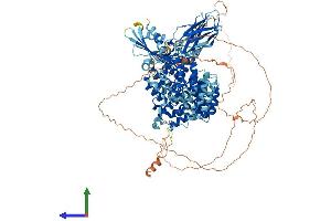 Protein Structure (PS) image for Adaptor-Related Protein Complex 3, beta 1 Subunit (AP3B1) (AA 1-1105) protein (His tag) (ABIN7565283)