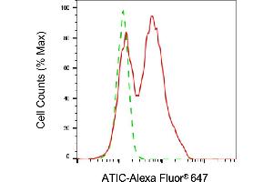 Flow cytometric analysis of ATIC expression in C2C12 cells using ATIC antibody (ABIN7797425), 1:2,000). (ATIC Antikörper)